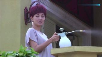 芳邻在线观看,邻里间的温馨互动与美好时光 第3张 芳邻在线观看,邻里间的温馨互动与美好时光 第3张