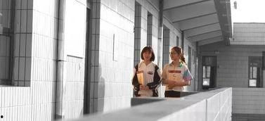 红谷滩盗窃学生爆料视频,视频揭露惊人真相 第3张 红谷滩盗窃学生爆料视频,视频揭露惊人真相 第3张