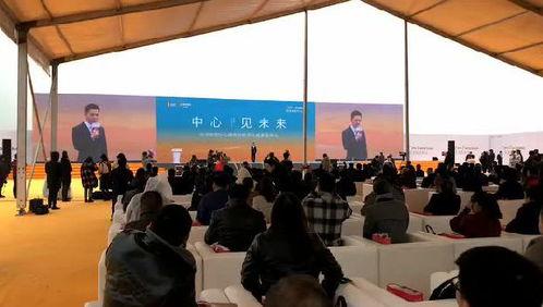 阜阳爆料临泉新闻视频,揭秘最新爆料视频背后的真相